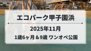 エコパーク甲子園浜の遊具エリアの一部。年の差兄弟でも楽しめる公園（2025年11月）