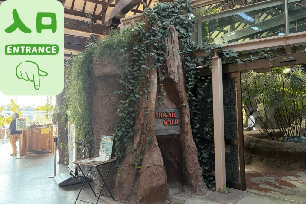 入り口を入ってすぐの園内の様子