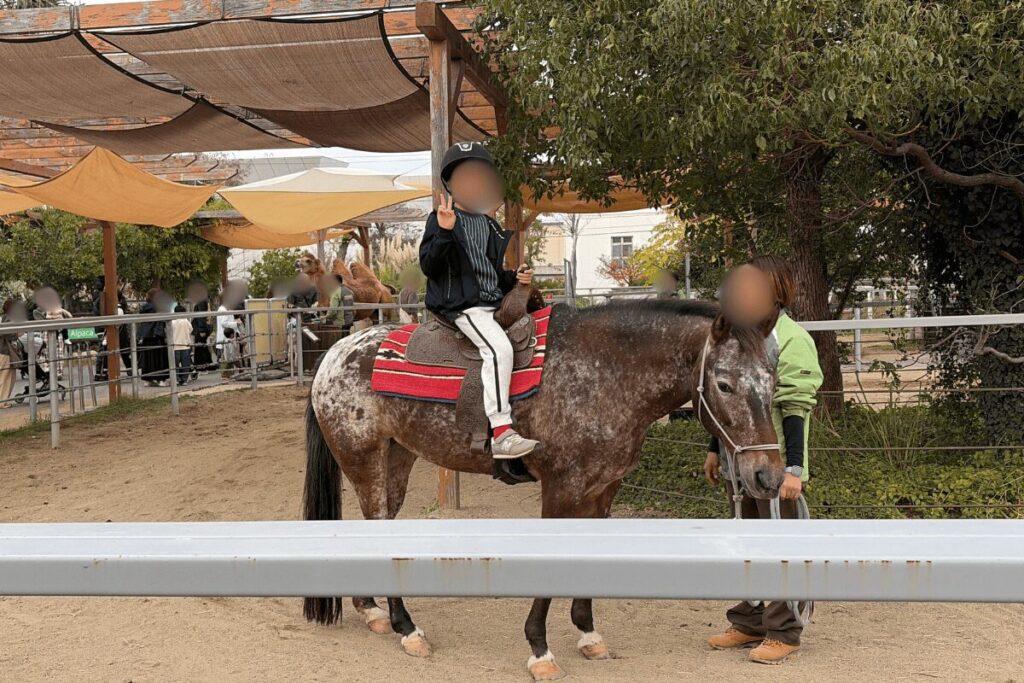 ホースライドの写真タイムでピースしている様子