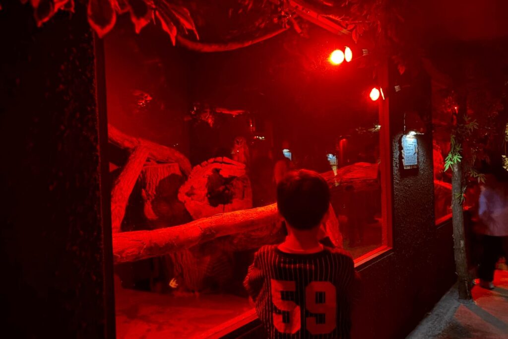 モモンガの夜エリアの様子