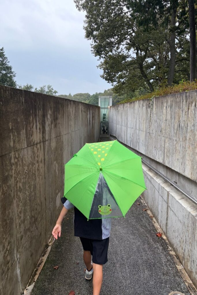 どんぐりbaseの入り口へ続くコンクリート通路