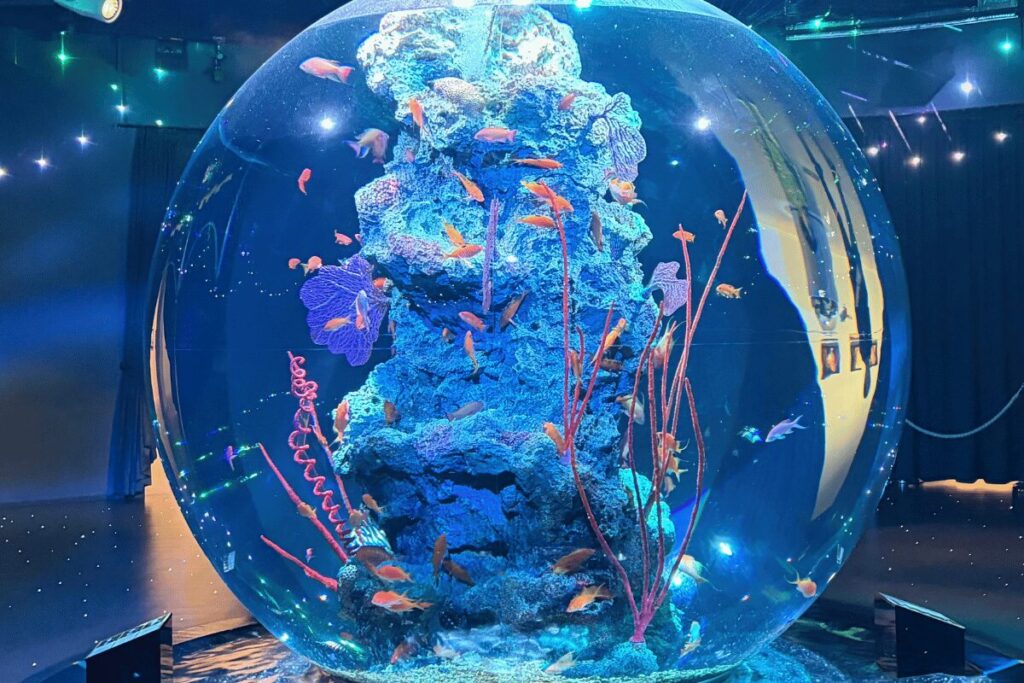 神戸アトア（átoa）幻想的な球体水槽